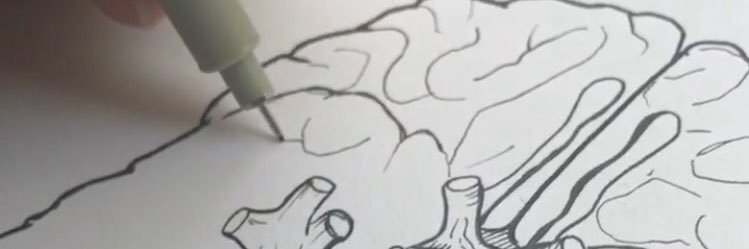 Mike Natter, MD banner