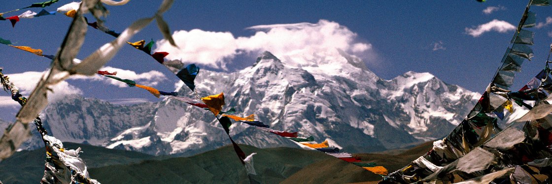 Sylvain Vasseur banner