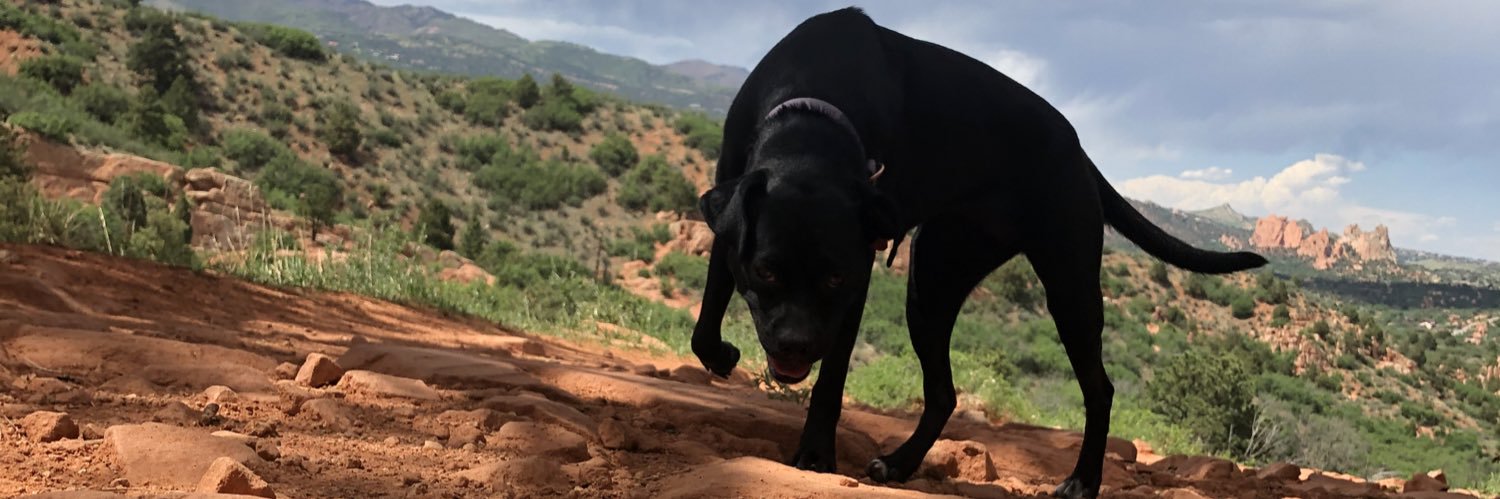 BkChaisson3's profile banner image
