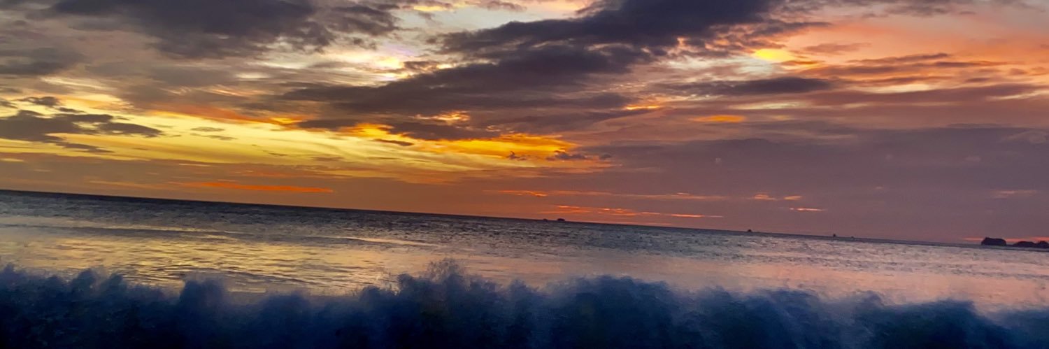 294vc_'s profile banner image