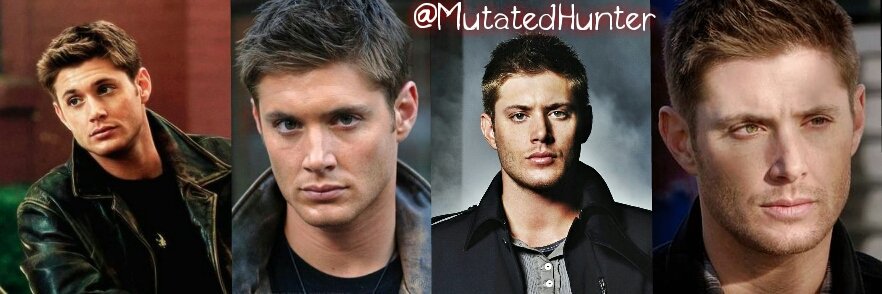 MutatedHunter's profile banner image
