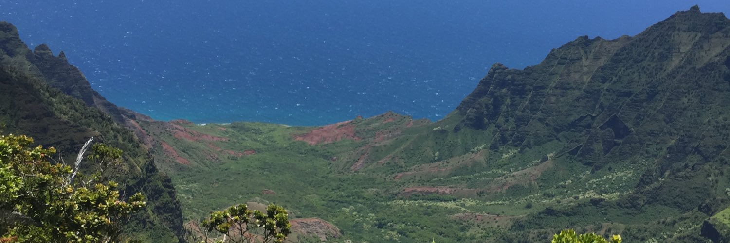 Dr. Kenny Fraga banner