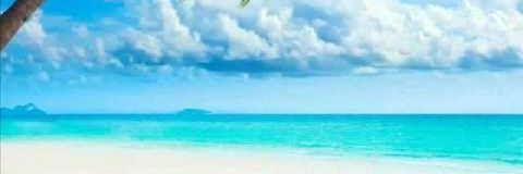 cd0c514b232e4d5's profile banner image