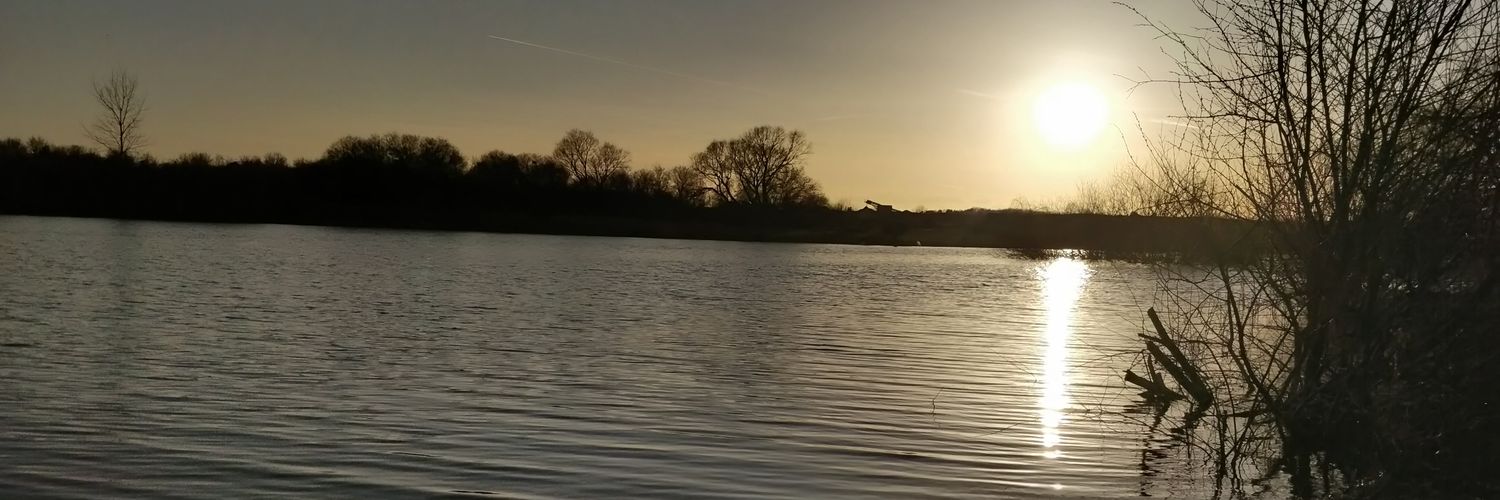 Joshua Reynolds banner