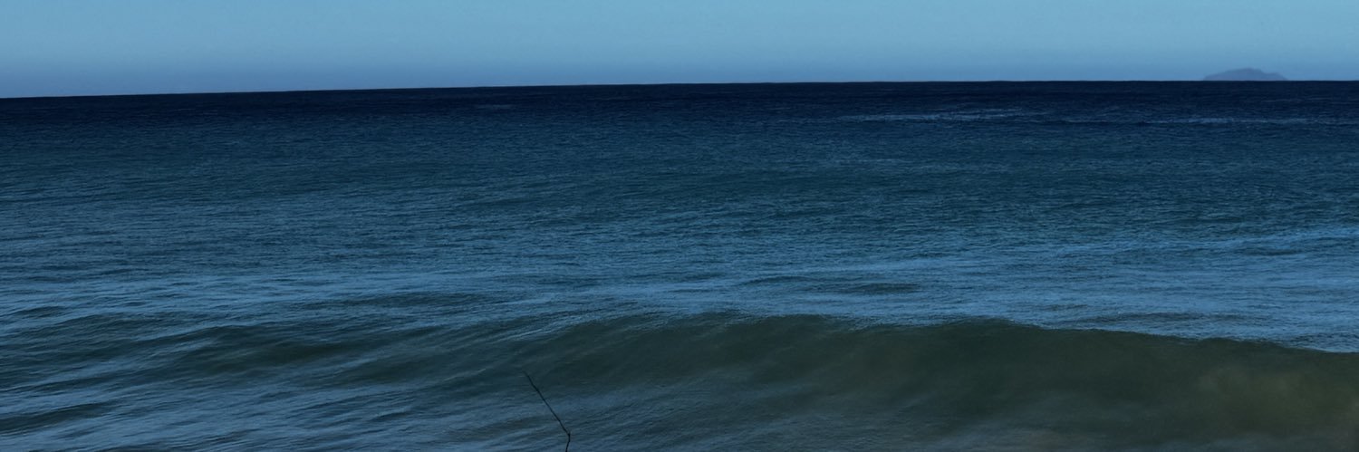 0x787CF's profile banner image