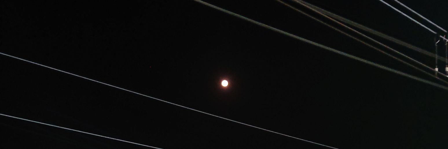 神無月やよい/P5Xペルソナが好きな人 banner