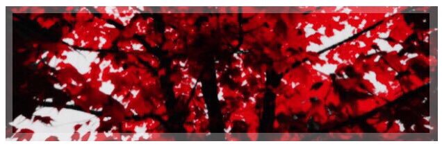 ForgottenTattoo's profile banner image