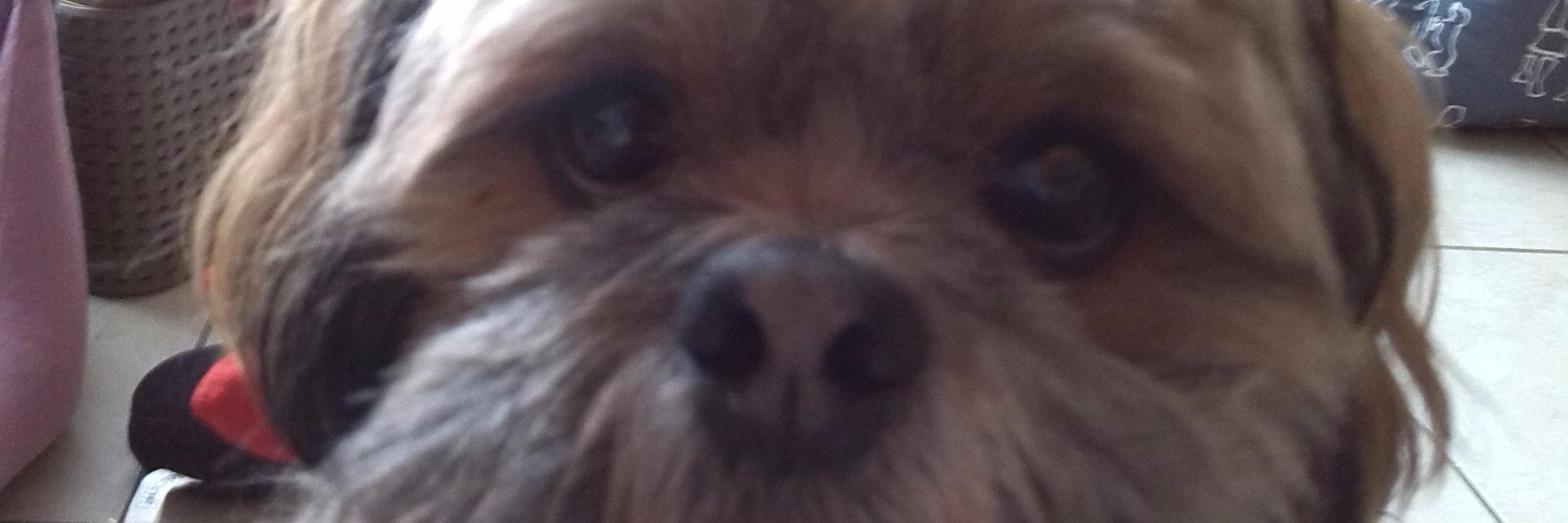 coco521972's profile banner image