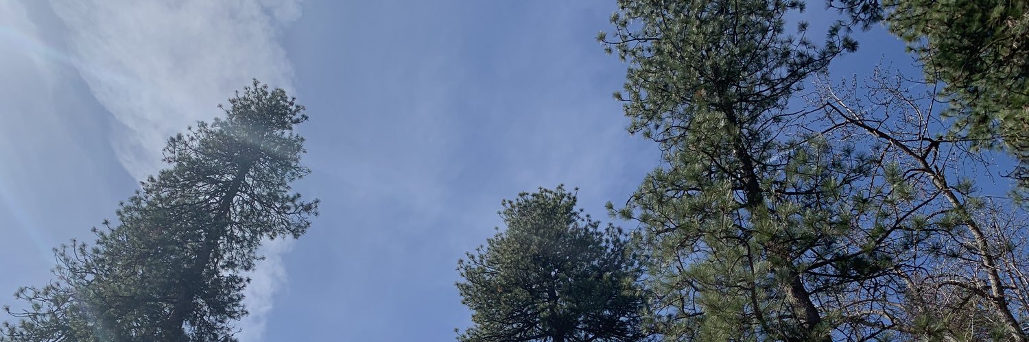 slutterings's profile banner image