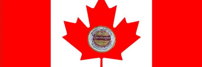ohcanadip's profile banner image
