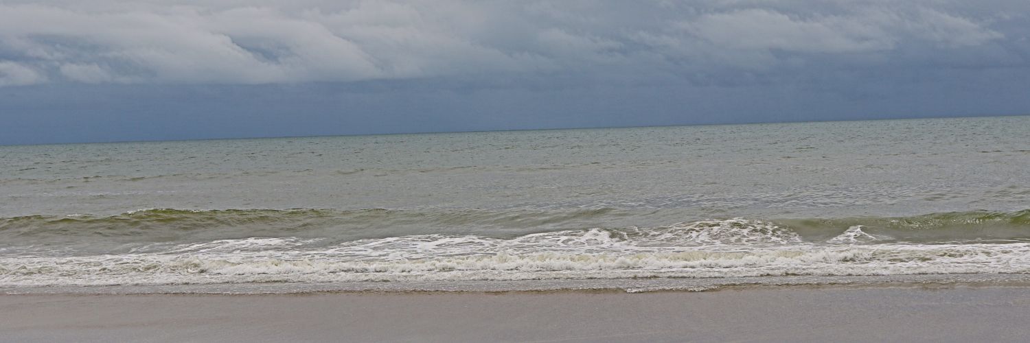 dtshegog's profile banner image