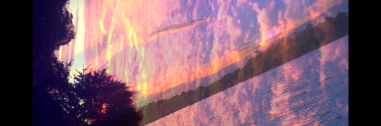 BayleeAshlyn98's profile banner image