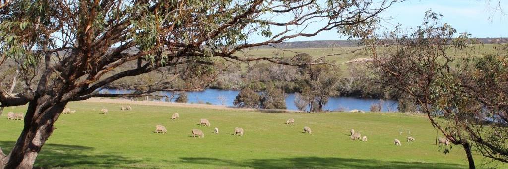 webdebzy's profile banner image
