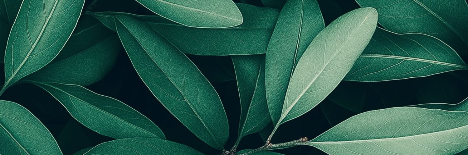 LiefFox's profile banner image