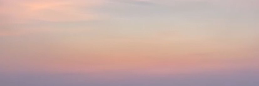 ranbo888's profile banner image