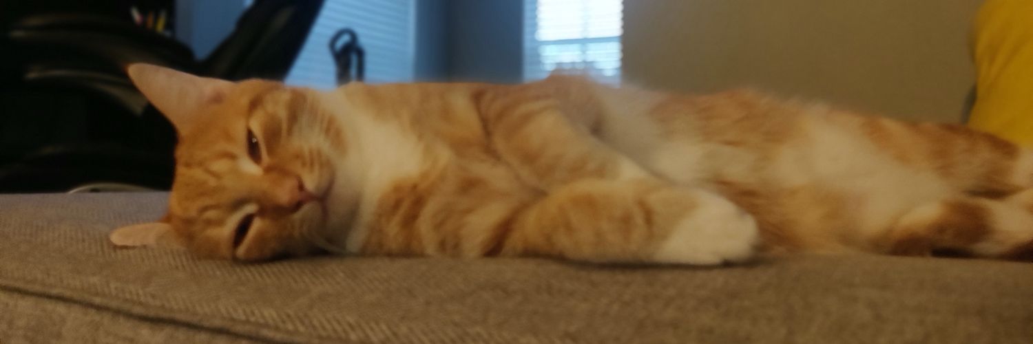 coolranchrob's profile banner image