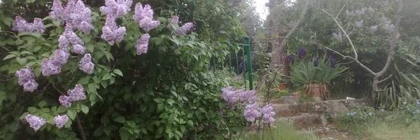 PilarHLuc Profile Banner