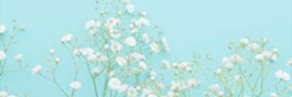 sakura_wear's profile banner image