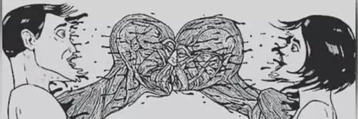 iasmimramsay's profile banner image