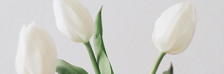BreenduBecker's profile banner image