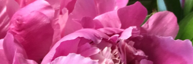 lizzyhashope's profile banner image