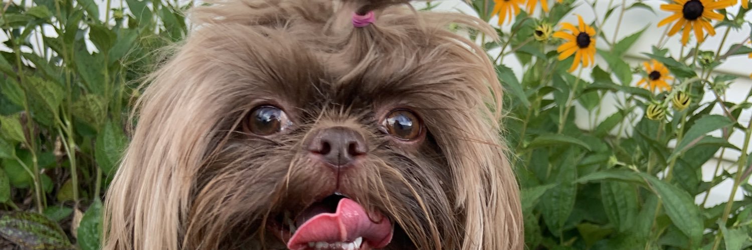 mac___marshall's profile banner image