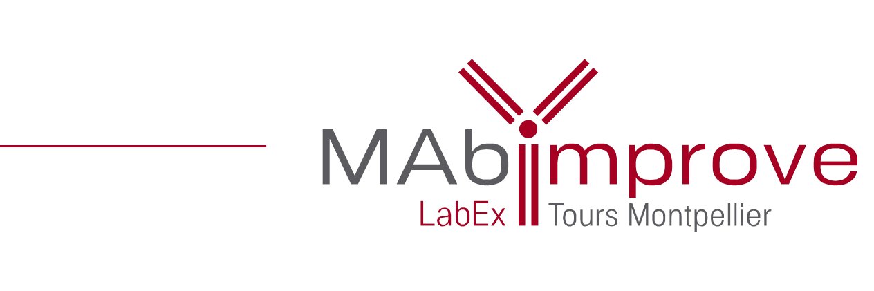 labex_mabimprove banner