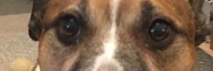 plittmoden's profile banner image