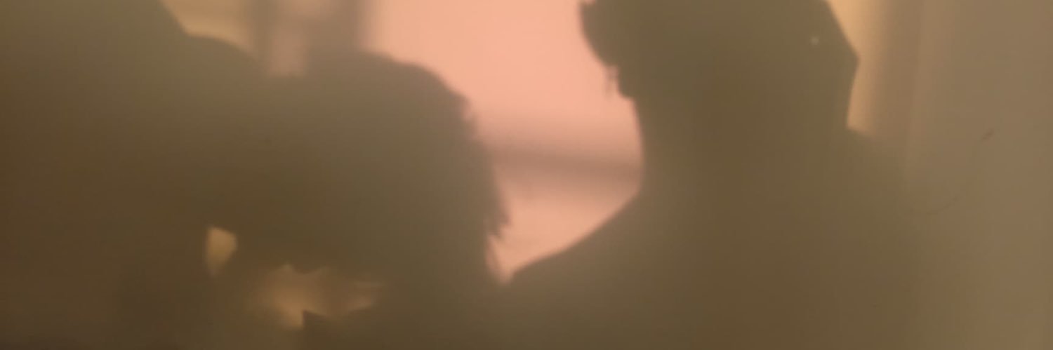 paiiparditrot's profile banner image