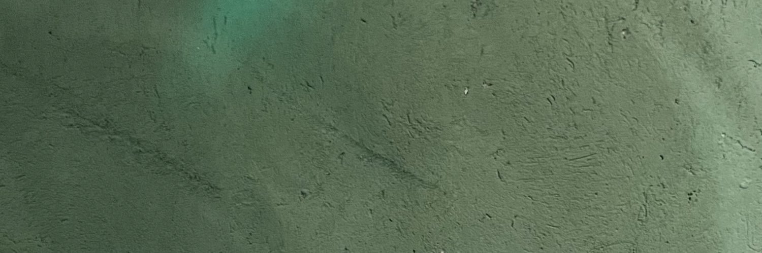 analucra's profile banner image