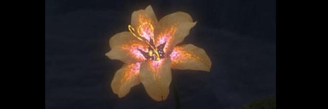 Iris of Corona banner