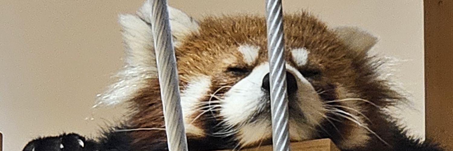 zookathuchiii's profile banner image