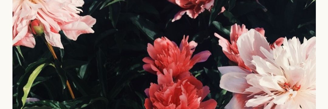 Layar_ee's profile banner image