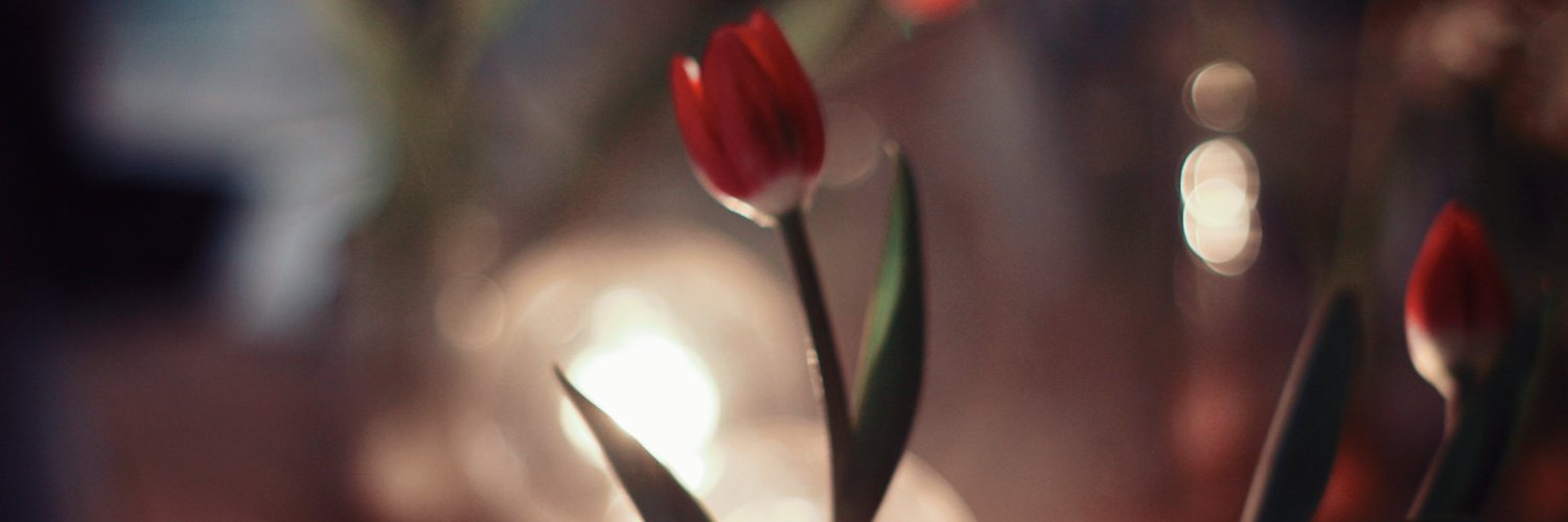adolis. banner