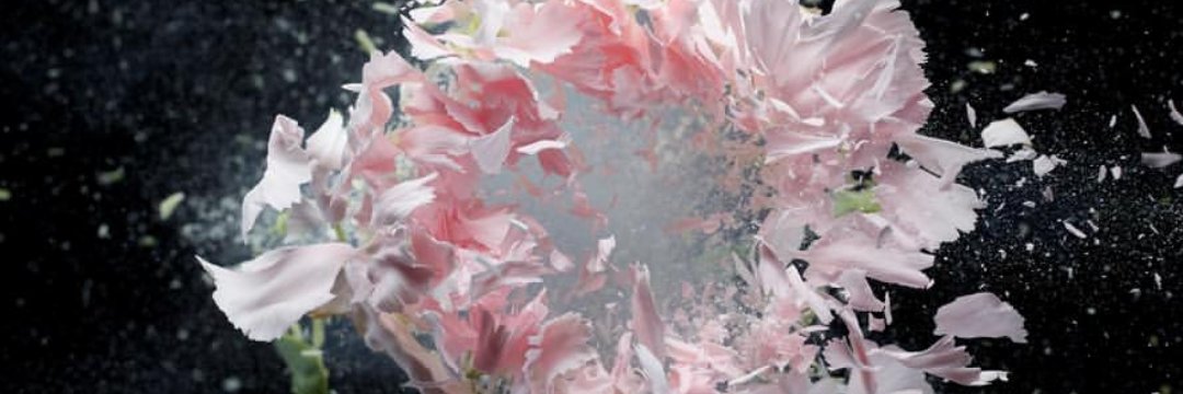 BldMika's profile banner image
