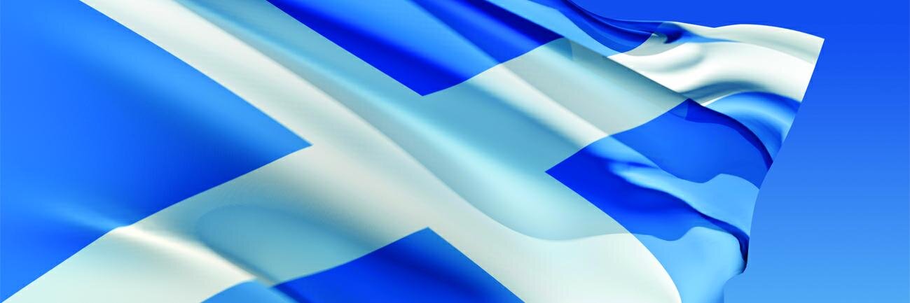 1davidmcinally's profile banner image
