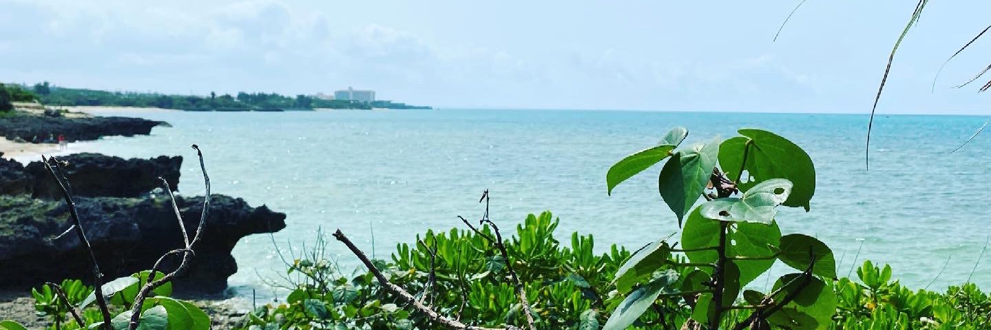 KeyGentle's profile banner image