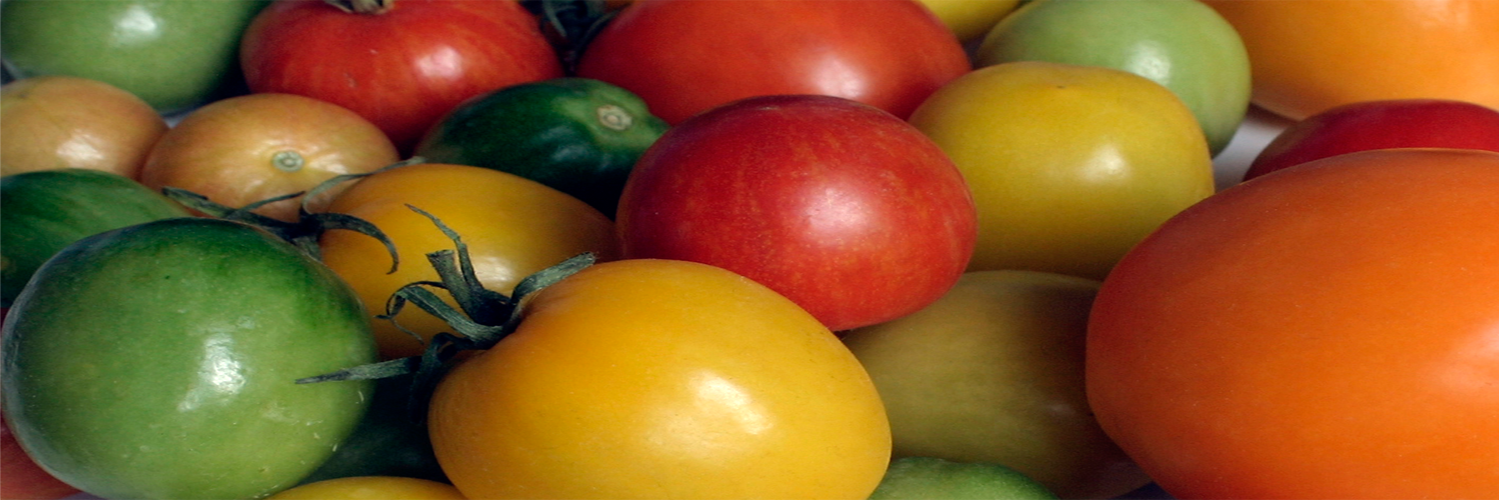 Veggie_Channel's profile banner image