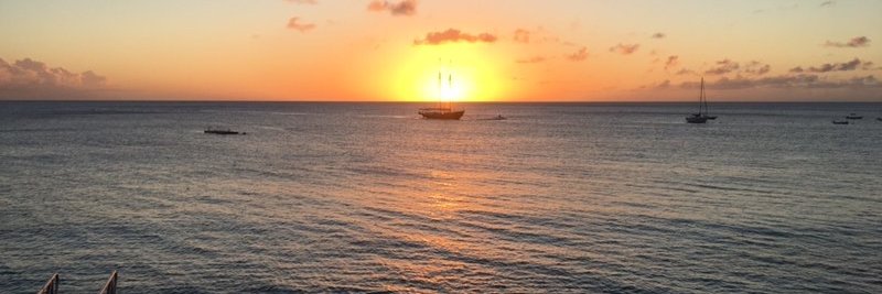 Andrea Cotter banner