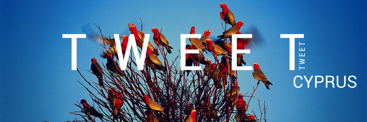 TweetCyprus's profile banner image