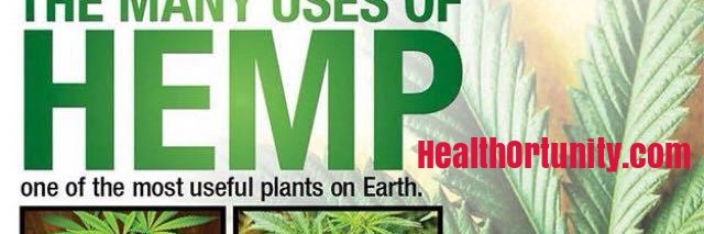 HealthOrtunity's profile banner image