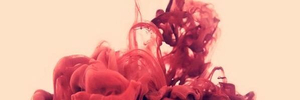 DorianeTP's profile banner image