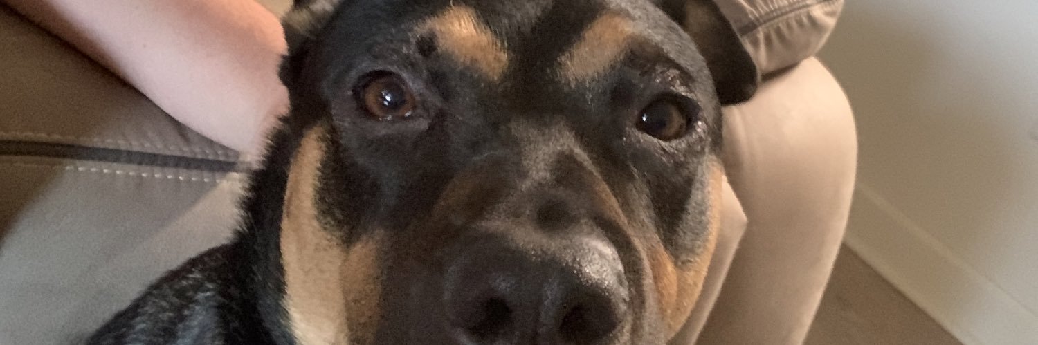 tkirsch22's profile banner image