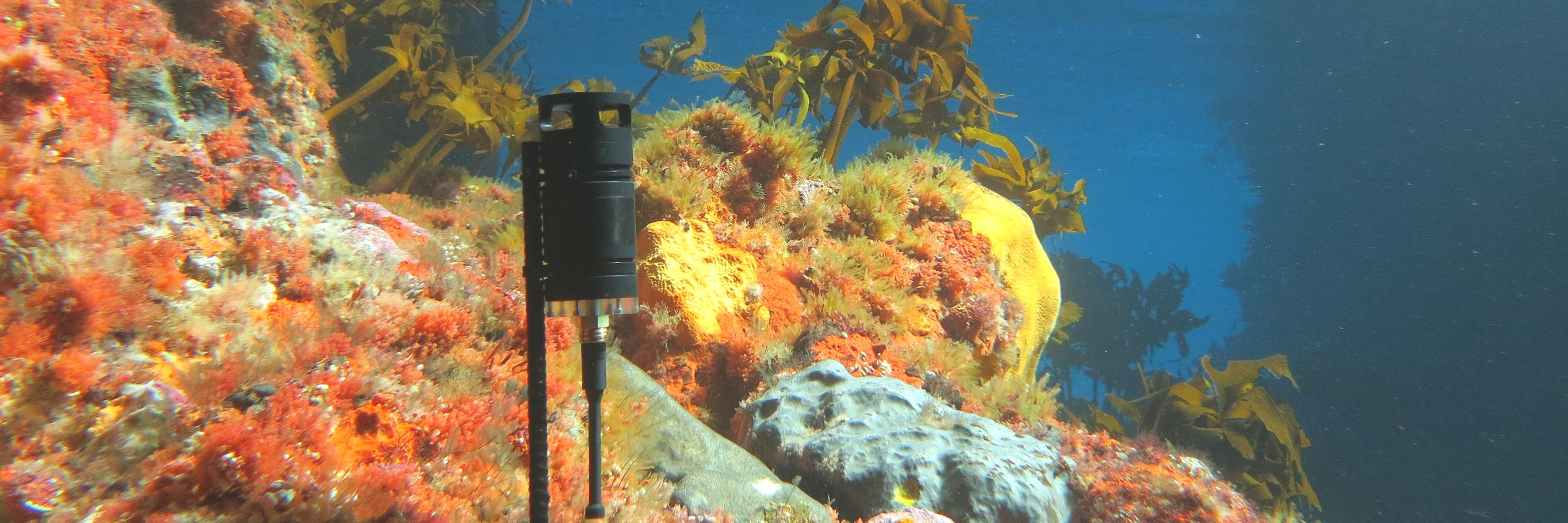 Ocean Instruments NZ banner