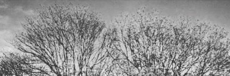0rlythelamb's profile banner image