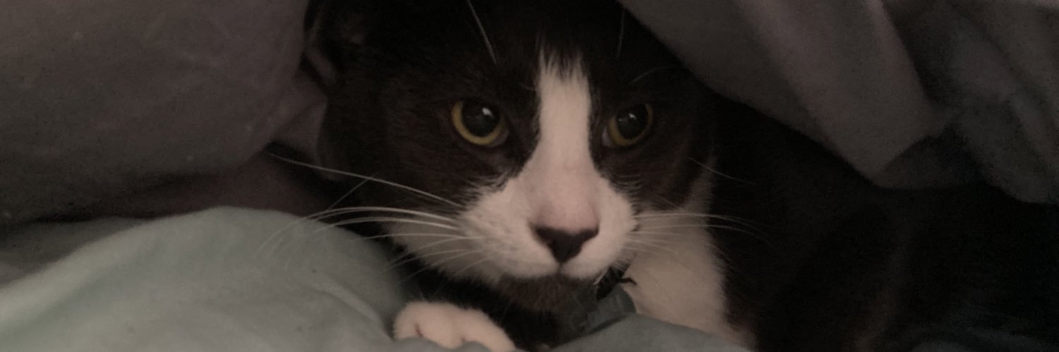 ThunderRunt's profile banner image