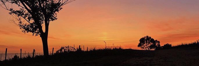 julierobaglia's profile banner image