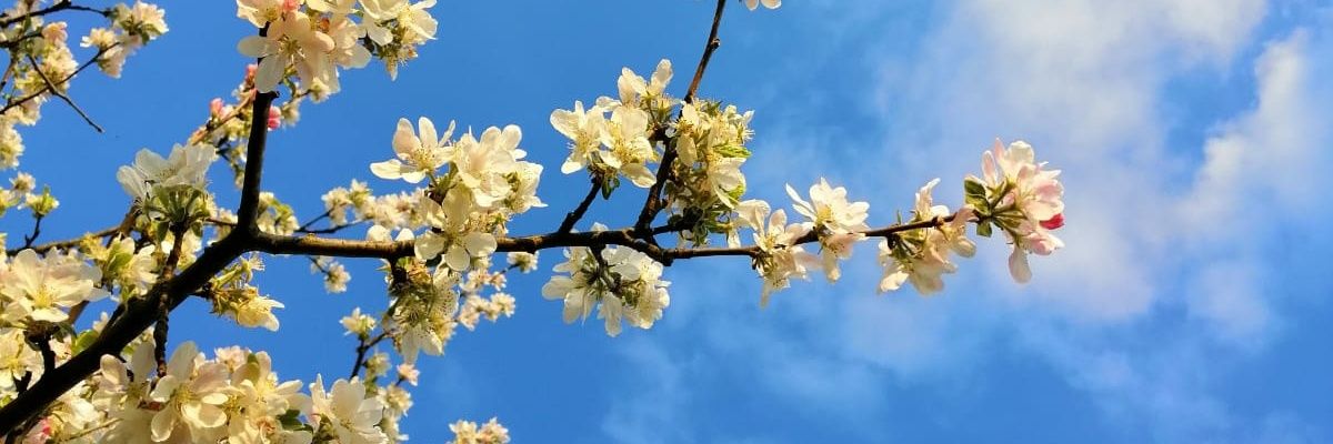 TerziTouchmva's profile banner image
