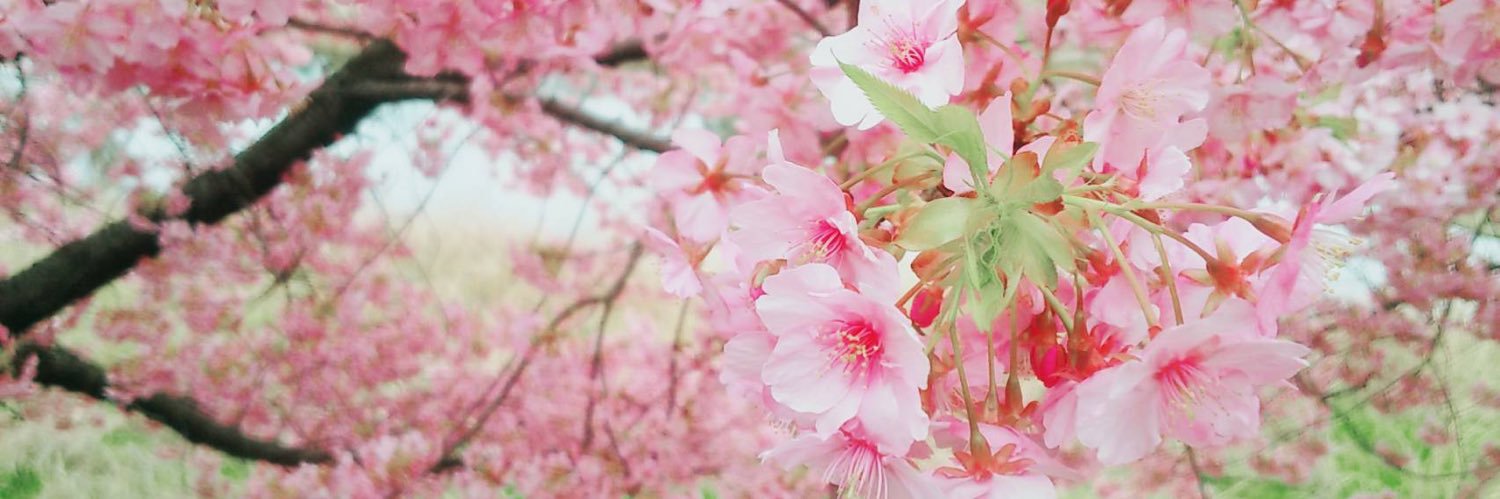 ayano_007's profile banner image