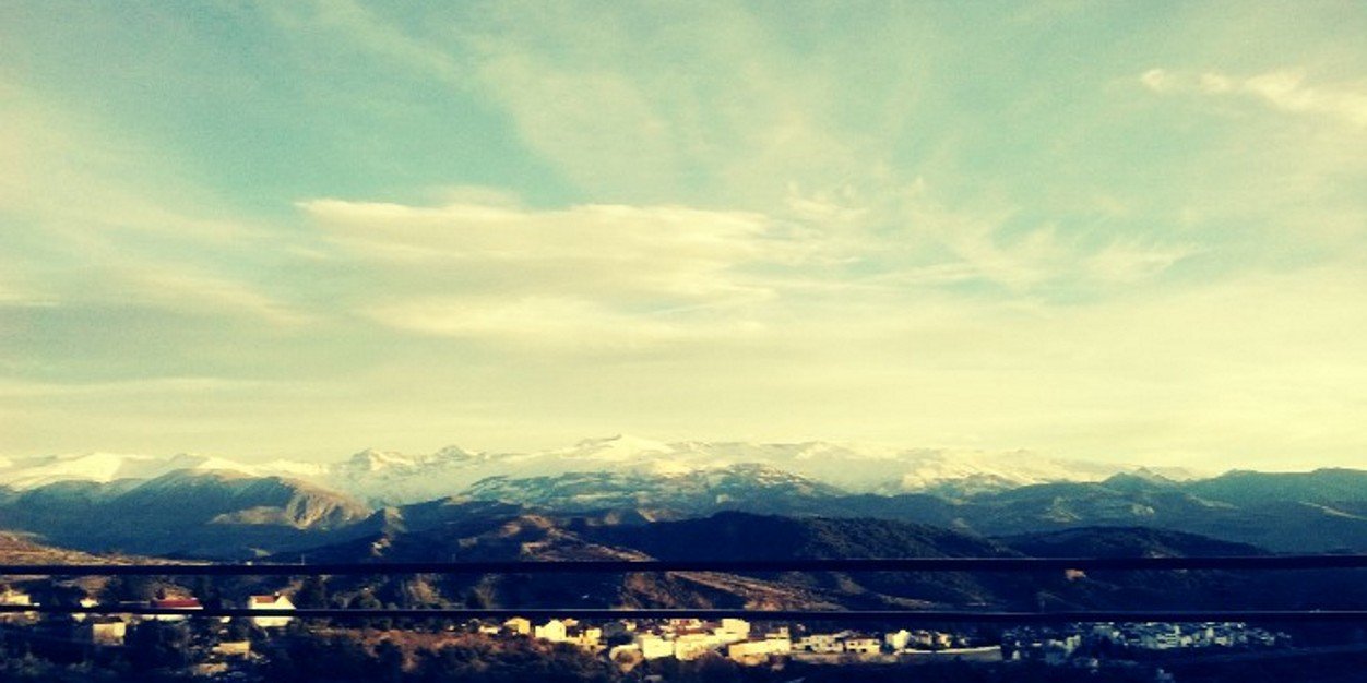 neifi_77 banner